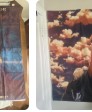 Customer photo 4 from Matthew's order
